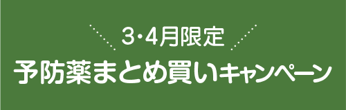 3・4月限定予防薬まとめ買いキャンペーン